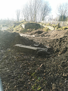 Filename=RHSDC21-COLL-UTIL-069.jpg
Filesize=637KiB
Dimensions=1350x1800
Date added=Feb 20, 2026 RHSDC21-COLL-UTIL-069.jpg