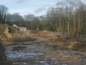 Filename=RHSDC21-COLL-UTIL-071.jpg
Filesize=488KiB
Dimensions=1800x1350
Date added=Feb 20, 2026 RHSDC21-COLL-UTIL-071.jpg