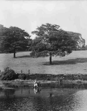 Carr Bank Area, Devil Hole Lodge and Rawcliff'es Field (now a housing estate built mid-1960s (2 pictures)
17-Buildings and the Urban Environment-05-Street Scenes-006-Carr Street and Tanners area
Keywords: 1985