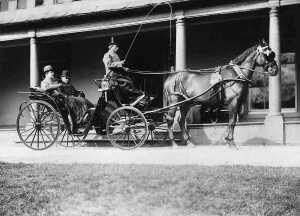 Victoria carriage at  Spring wood 1891,The exact location is not known Passengers are A.T. Porritt & N. Townsend.  The coachman is Bond, & the horse is Prince. 
animal
Keywords: 1945