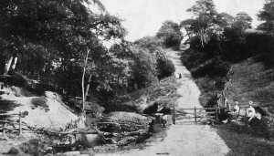 Redisher Woods with picnickers. Posted Ramsbottom 3/9/1903 (Also in archive a coloured photo of same region without picknickers ) - Holcombe Brook area
17-Buildings and the Urban Environment-05-Street Scenes-013-Holcombe Brook Area
Keywords: 1945