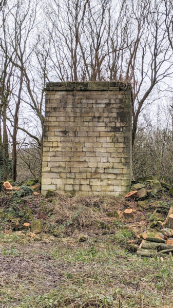 Nuttall Mill Chimney Remains; tree pruning to reveal the chimney which was part of Nuttall Village
17-Buildings and the Urban Environment-05-Street Scenes-019-Nuttall area
Keywords: 2021