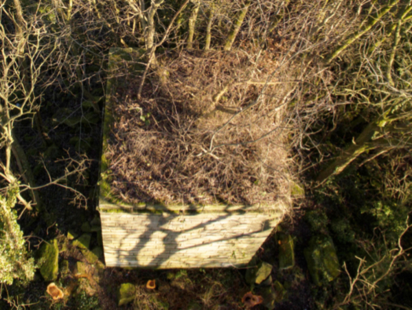 Nuttall Mill Chimney Remains; tree pruning to reveal the chimney which was part of Nuttall Village; Drone shot by James Leyland
17-Buildings and the Urban Environment-05-Street Scenes-019-Nuttall area
Keywords: 2021