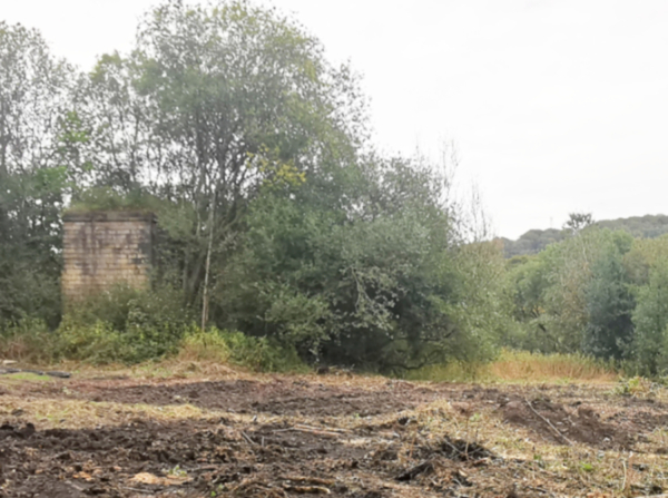 Tree removal in Nuttall village as part of the United Utilities' work - after
17-Buildings and the Urban Environment-05-Street Scenes-019-Nuttall area
Keywords: 2024